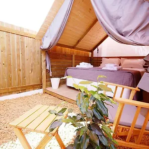  Campsite Lemon Tree Urban Camping